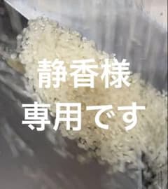 リピート割引令和7年愛知県産 あいちのかおり【精米20kg】送料込 お米