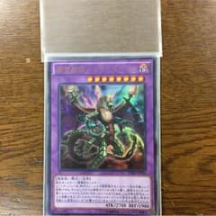 捕食植物ドラゴスタペリアのサムネイル