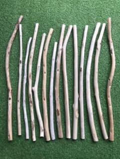 ツルツル流木14本セット⑤  加工済み(o^^o)のサムネイル