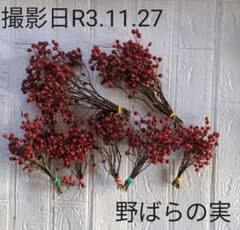 野ばらの実　長さいろいろ　70本のサムネイル