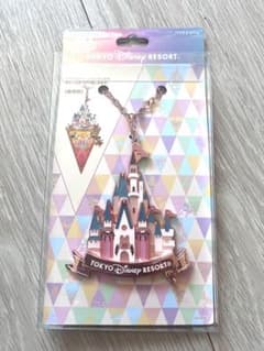 東京ディズニーランド40周年　バックチャームのサムネイル