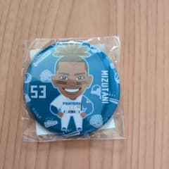 北海道日本ハムファイターズ ガチャ 缶バッジ 水谷瞬選手のサムネイル