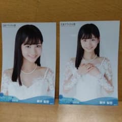 m72232976751_1.jpg?1707626844