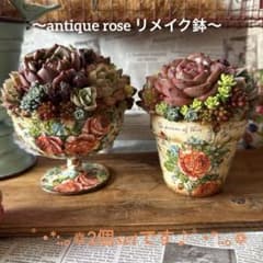 ❤︎アンティークrose鉢❤︎ そのまま飾れる多肉植物の寄せ植えリメ鉢