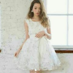 ワンピ♡Snidel dazzlin INGNI evelyn tocco GUのサムネイル