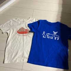 Tシャツ　ザノースフェイス　Tシャツ2枚のサムネイル