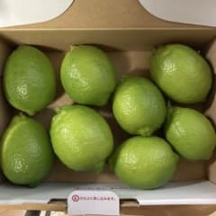 京都産完全無農薬レモンのサムネイル