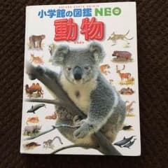 ゆはこ(プロフ見てね☆)様専用のサムネイル