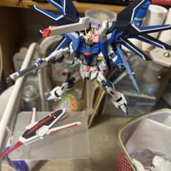 HG ガンプラ 完成品 ライジングフリーダムのサムネイル