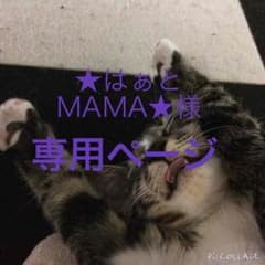 【★はぁとMAMA様専用ページ】のサムネイル