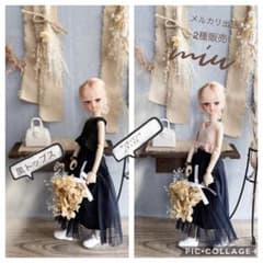 m72257593246_1.jpg?1690773064