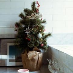 ニコアンド クリスマスツリーのサムネイル