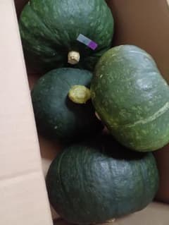 yamariko様ご予約栗ゆたかのサムネイル