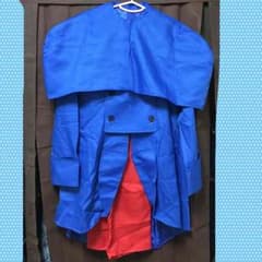【さぼるん様専用】フランス コスプレ衣装のサムネイル