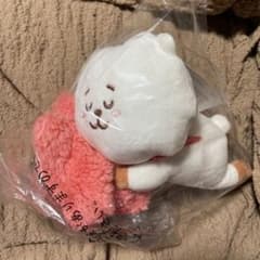 BT21 봉제인형