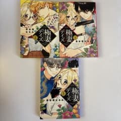 極妻デイズ 1〜3巻 3冊セットのサムネイル