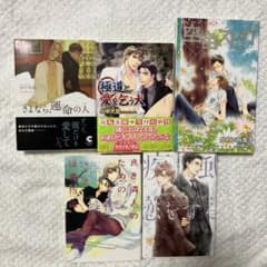 BL小説5冊セット　良き隣人のための怪異指南 海野幸　他のサムネイル