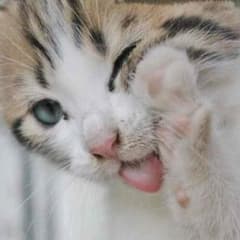 ryu様専用のサムネイル