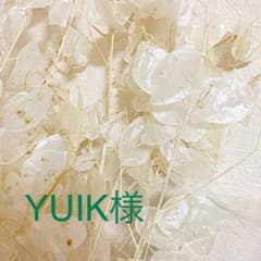 ドライフラワー  ルナリア　五本＋小分けのサムネイル