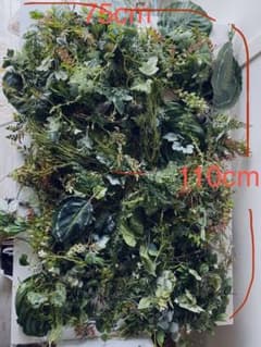 大量、種類豊富！フェイクグリーンのサムネイル