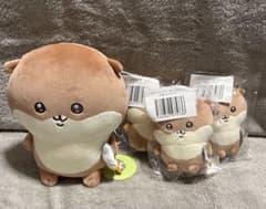 ナガノのカワウソ ぬいぐるみくじ C賞、D賞×3 - メルカリ