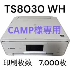 訳アリ】Canon インクジェット複合機 PIXUS TS8030 ホワイト - メルカリ