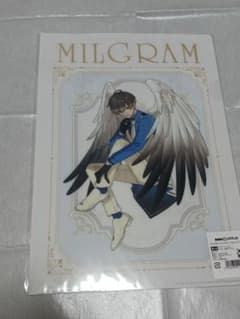 MILGRAM DMMスクラッチ Angel ミコト クリアファイル ミルグラム