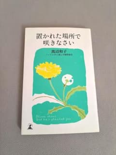 置かれた場所で咲きなさいのサムネイル