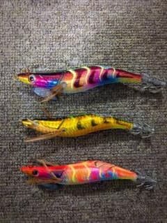 エギ   ラトル入り！のサムネイル