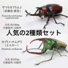 m72288892241_1.jpg?1756129354