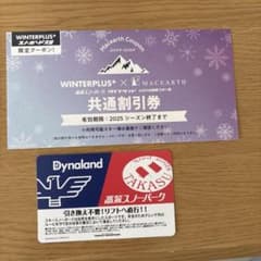 高鷲スノーパーク・ダイナランド共通リフト券 複数枚購入で値下げのサムネイル