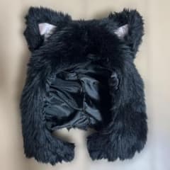 コスプレ 猫耳のサムネイル