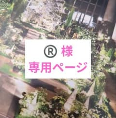 かば♡ゆか様 リクエスト 6点 まとめ商品 様 リクエスト 6点 まとめ商品 - メルカリ