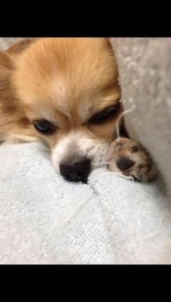 まあこさん専用のサムネイル