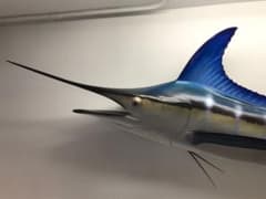 値下げ(^^)特大カジキ ストライプマーリン剥製 魚拓グラスファイバー メキシコ ストライプドマーリンスイム | INTOTHEBLUE 水中写真家 越智隆治 置物
