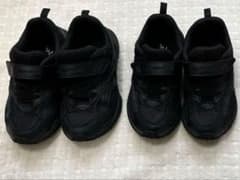 瞬足　19センチのサムネイル