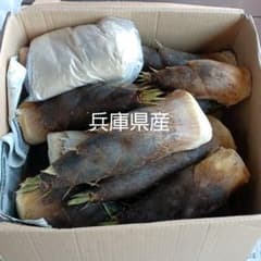 兵庫県産　５月３日朝採れタケノコ8キロのサムネイル
