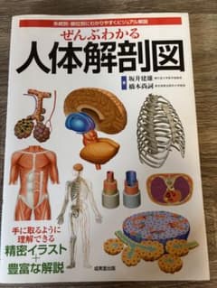 ぜんぶわかる人体解剖図 : 系統別・部位別にわかりやすくビジュアル解説のサムネイル