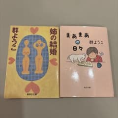 群ようこ 文庫本2冊セット 姉の結婚 まあまあの日々のサムネイル