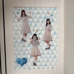 日向坂46 クリアファイルのサムネイル