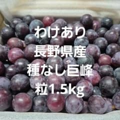 わけあり長野県産種なし巨峰粒1.5kgのサムネイル
