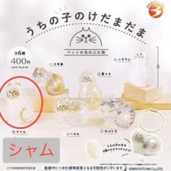 ミント様 リクエスト 2点 まとめ商品のサムネイル