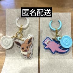 ポケチャーム　カラーマスコット　ヤドン　イーブイ　ポケモン　Poke-Charmのサムネイル
