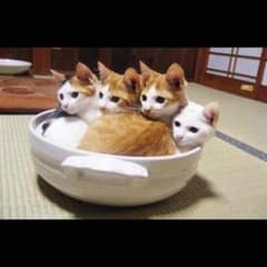 ヨウさん専用のサムネイル