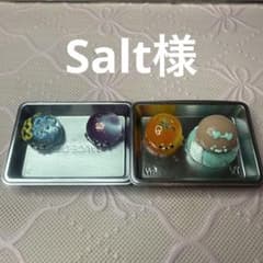Salt様のサムネイル