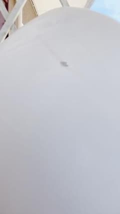 プレセボのサムネイル
