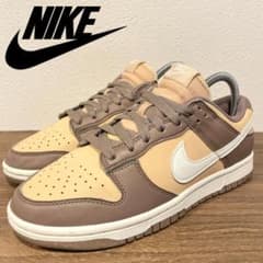NIKE WMNS DUNK LOW NEXT NATURE SAIL 나이키