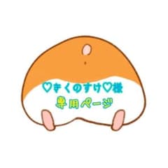✲専用ページ✲のサムネイル