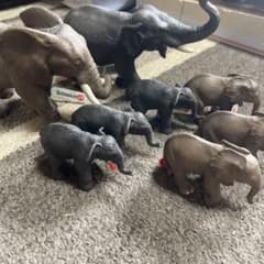 新品　タグ付き　廃盤品　シュライヒ　象の親子 フィギュア　8体セット　まとめ売り 新品 タグ付き 廃盤品 シュライヒ 象の親子 フィギュア 8体セット