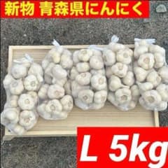 お得！新物 青森県 福地ホワイト にんにく L 5kg 加工 食用 種にんにく